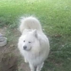 Meet your Posher, Janet